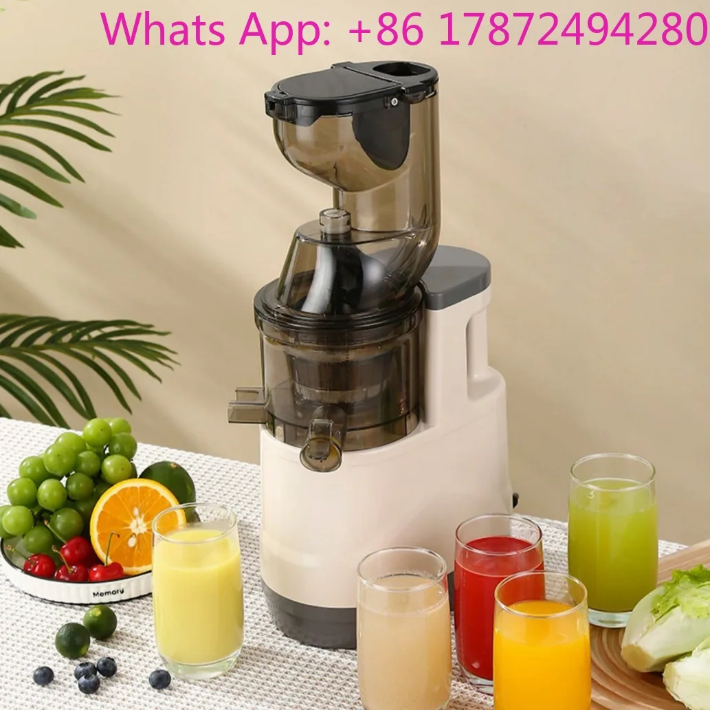 Fruit and Vegetable Pure Juicer Plastic Juicer Bottle Container Kitchen Cold Press Food Machine