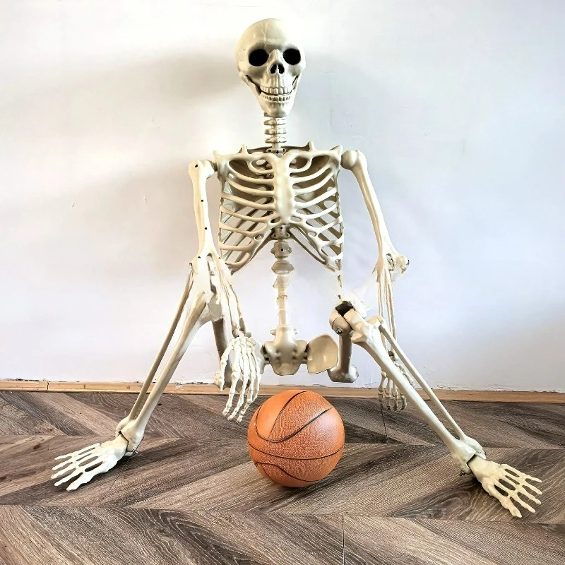 Halloween Realistic Body Bones Life Size Human Skeleton With Posable Joints Simulation Skull Ornament Haunted House Horror Props
