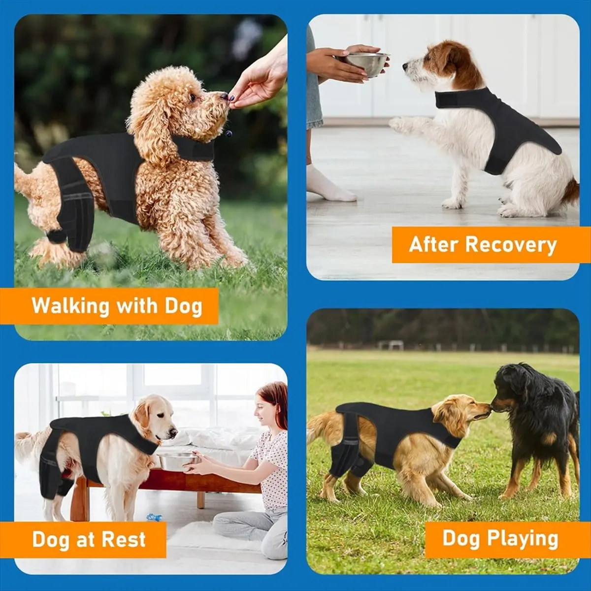 Efficient- Dog Knee Brace for Torn ACL Hind Leg - Adjustable Dog Leg Braces for Both Back Legs with 4 Stabilizer L