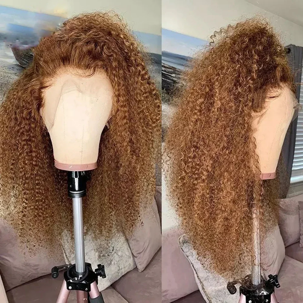 Soft 26Inch Brown Long 180Density Preplucked Kinky Curly Deep Lace Front Wigs For Black Women With Baby Hair Glueless Daily