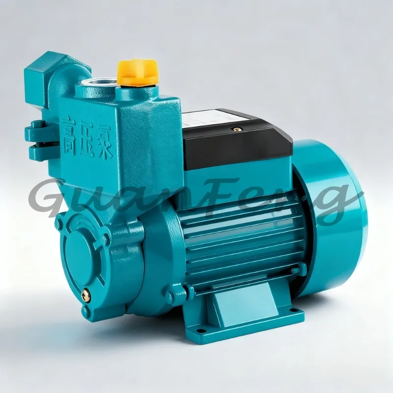 DC 12V 24V 48V 60V Multifunctional Self-Priming Booster Pump Small Water Filtration System Equipment