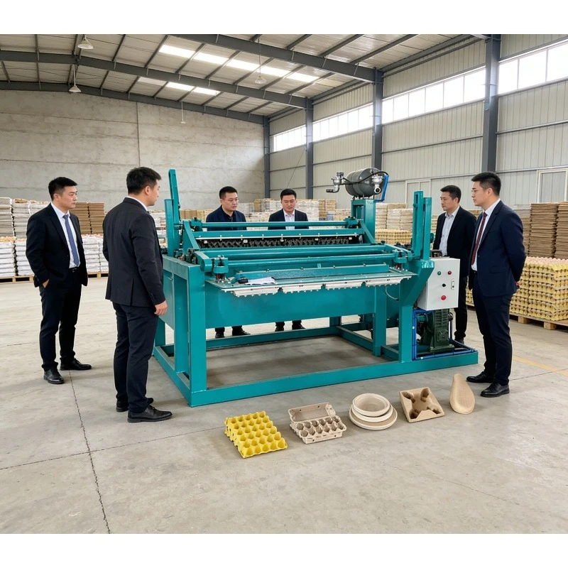 Automatic Egg Tray Machine With Vacuum Forming & Rapid Drying Pulp Molding