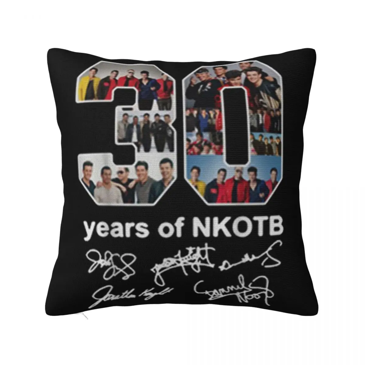 30 Years Of Nkotb Signatures Leisure Animal Female Womens Cheap Price Cartoon Normal Chinese Style Kawaii Pillow Case