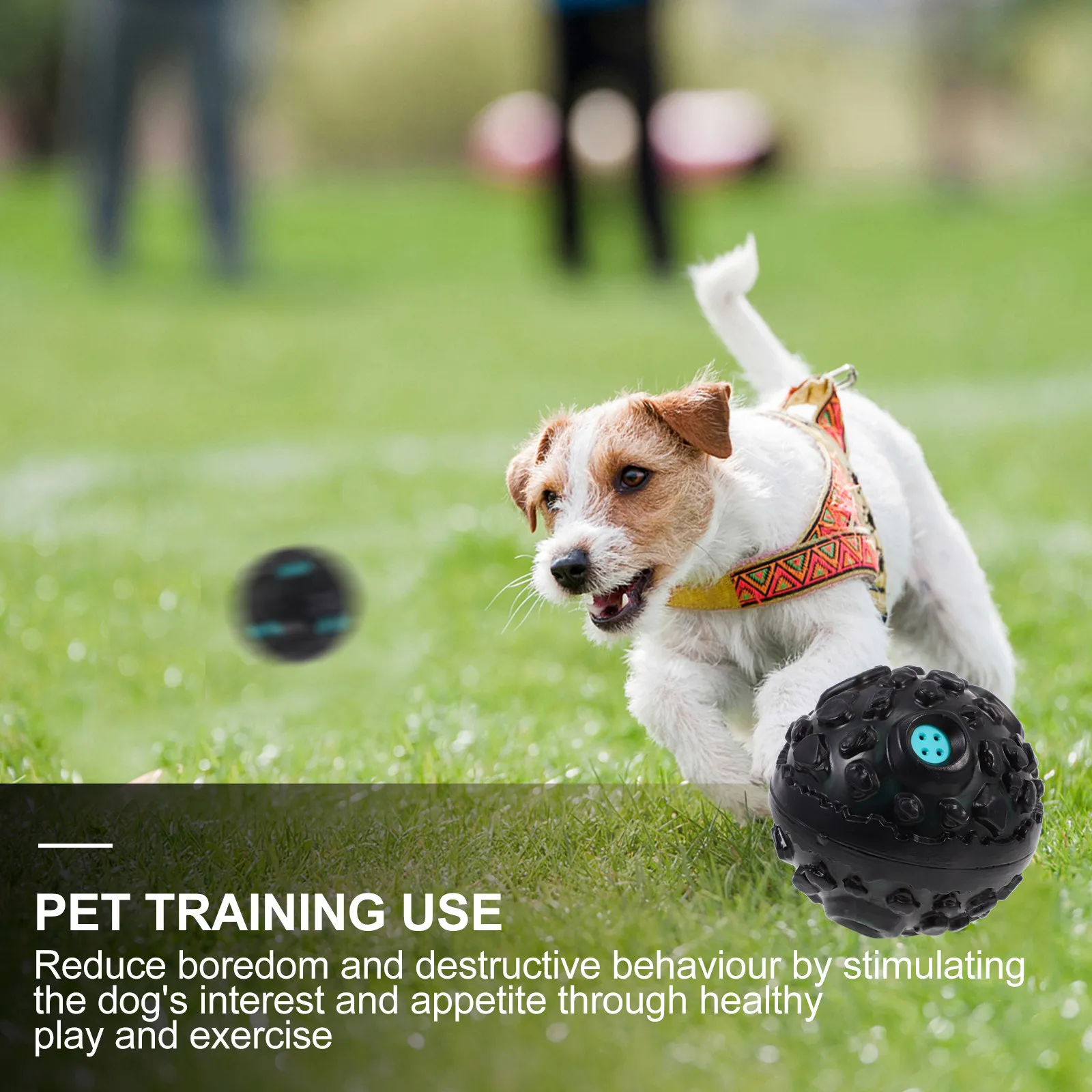 

Dog Molar Ball for Small Dogs Puppy Squeaky Plaything High Toughness PP Material Falling Stone Design Pet Training Ball Keeps