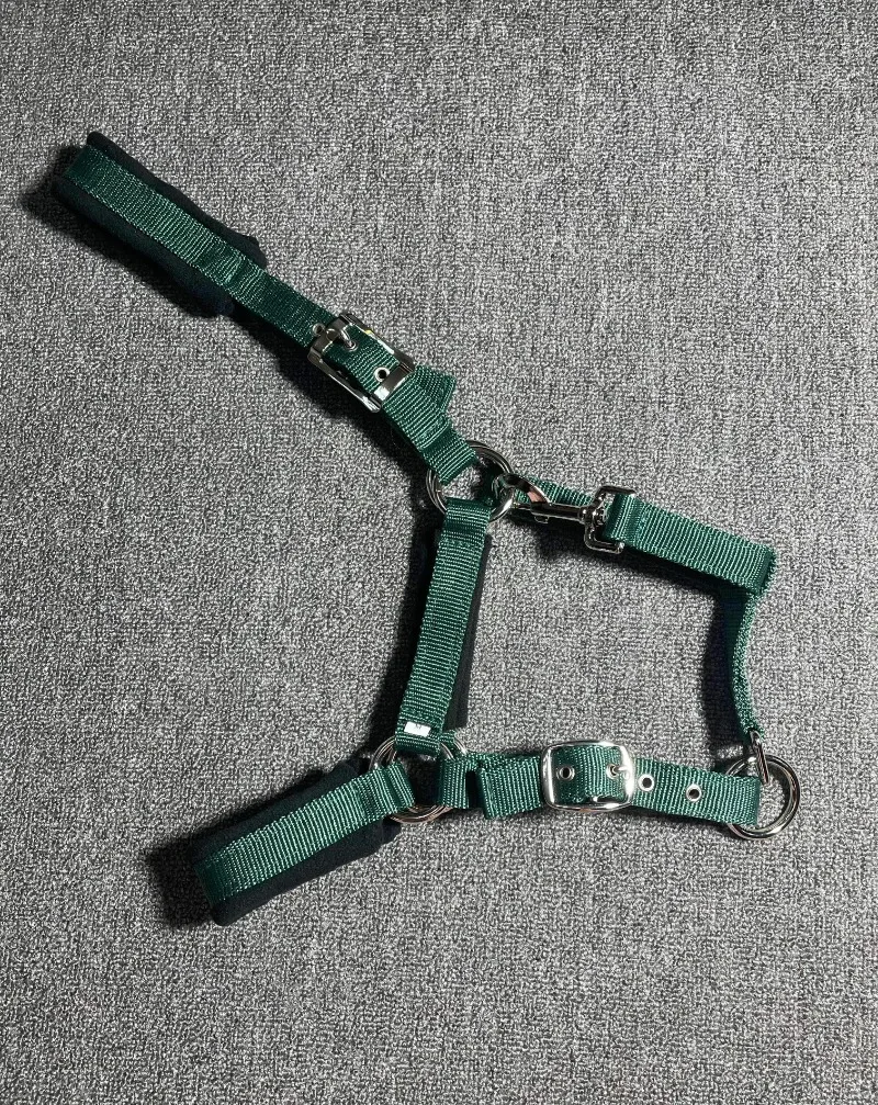 Dark Green Nylon Webbed Colt Pony Horse S/M/L/XL Size Halter/lead Rope Equestrian Harness