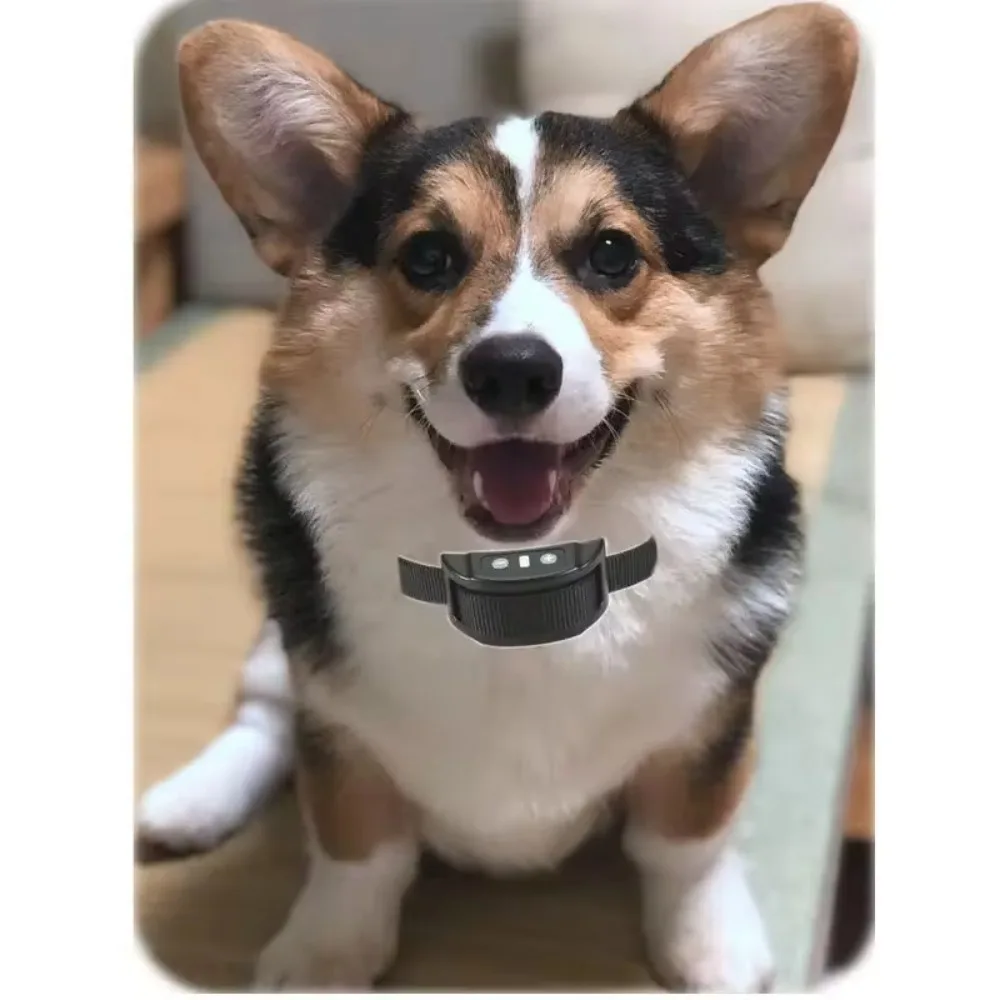 Electric Dogs Training Collar Automatic Dog Anti Barking Device  USB Chargeable Stop Barking Vibration Anti Bark Devices