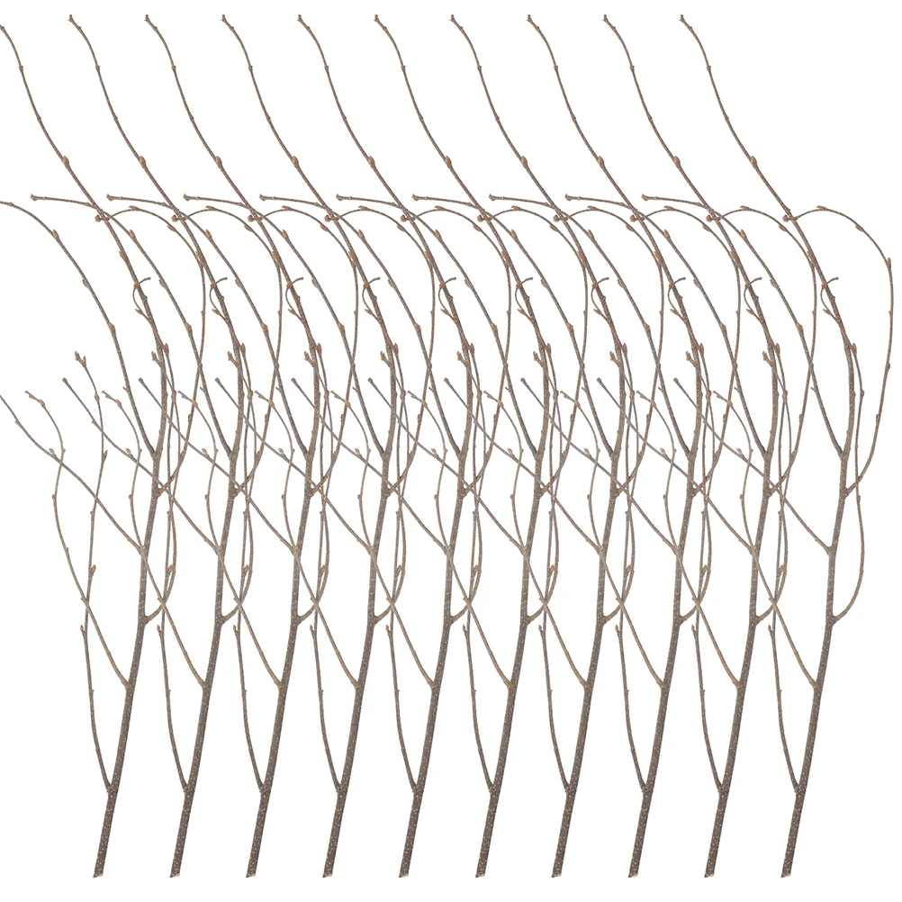 

12 Pcs Decorative Dried Branches Home Ornament Natural Wood Vase Filler 50cm White Photo Props Simulation Plants
