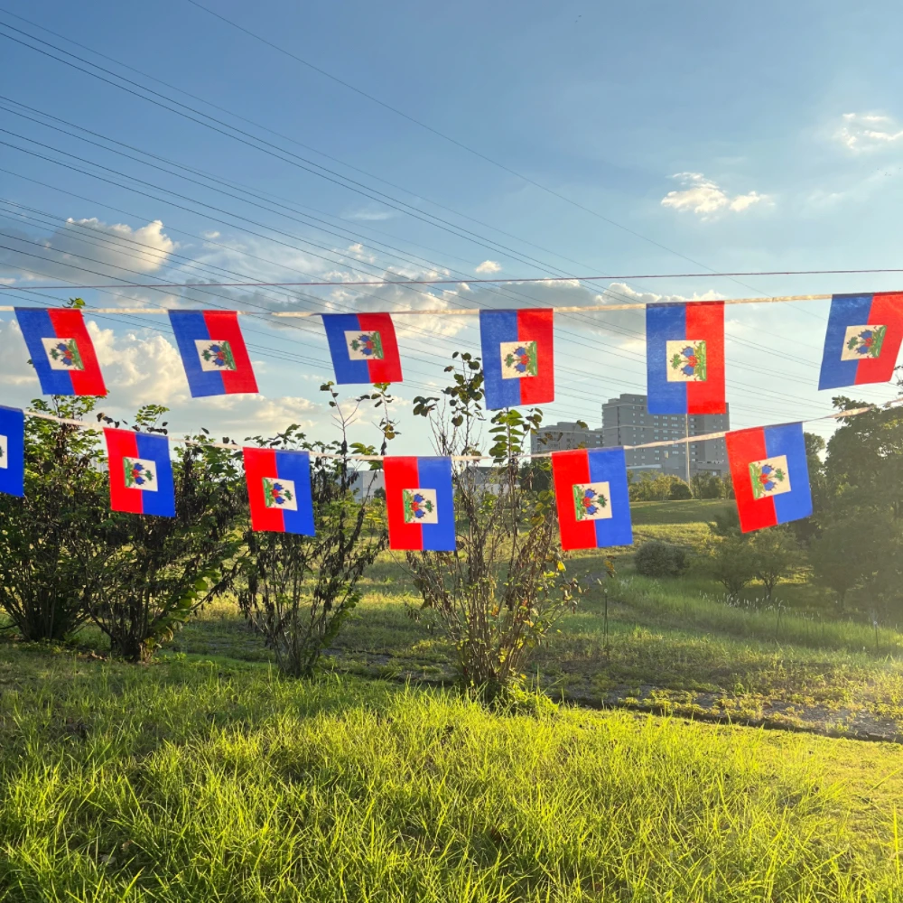 Haiti Flag 14x21cm 20pcs/Set, Hanging Polyester Blue Red 2 Sides Printed National Flag Haiti Sports Banner