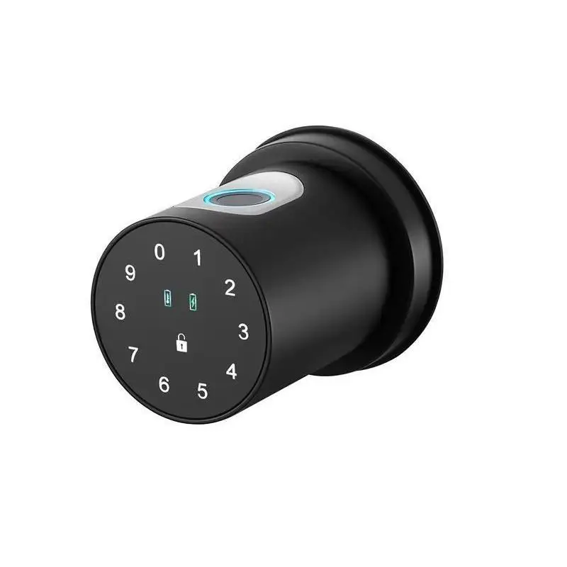 Tuya BLE Smart Digital Bedroom Door Lock Fingerprint Keyless Ball Knob Passcode Keypad Replace Single Tongue Locks for Home Room