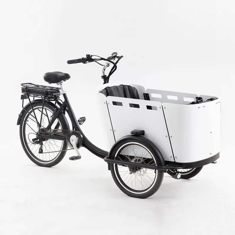 Electric Pedal 3 Wheels Cargo Bike with 250W Rear Motor for Carrying Kids or Pets