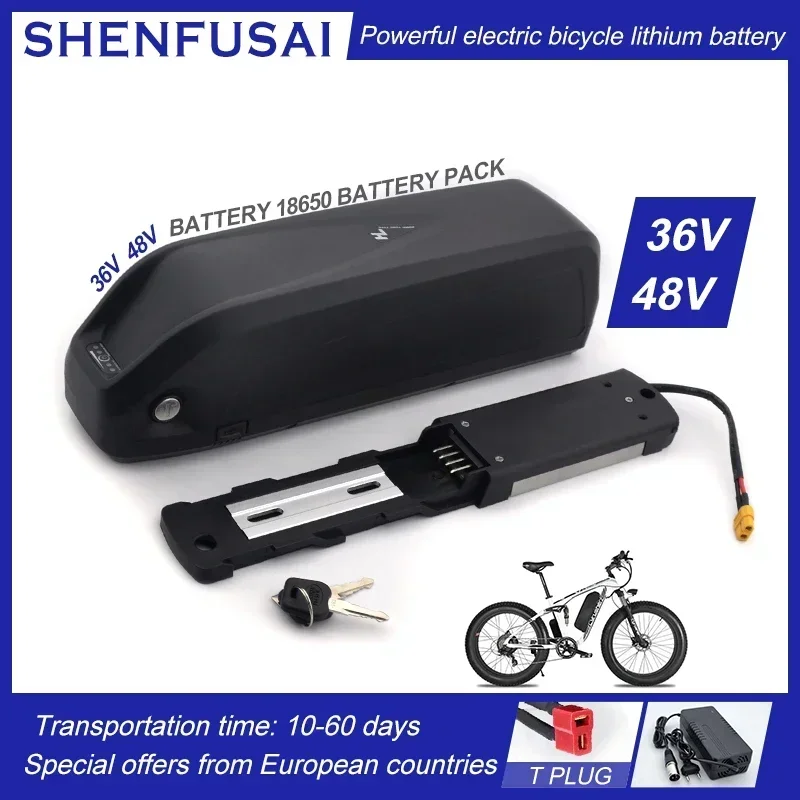 36V 48V 18650 Electric Bicycle Battery Hailong Battery Box with USB 1000W Motorcycle Modification Kit Octagon