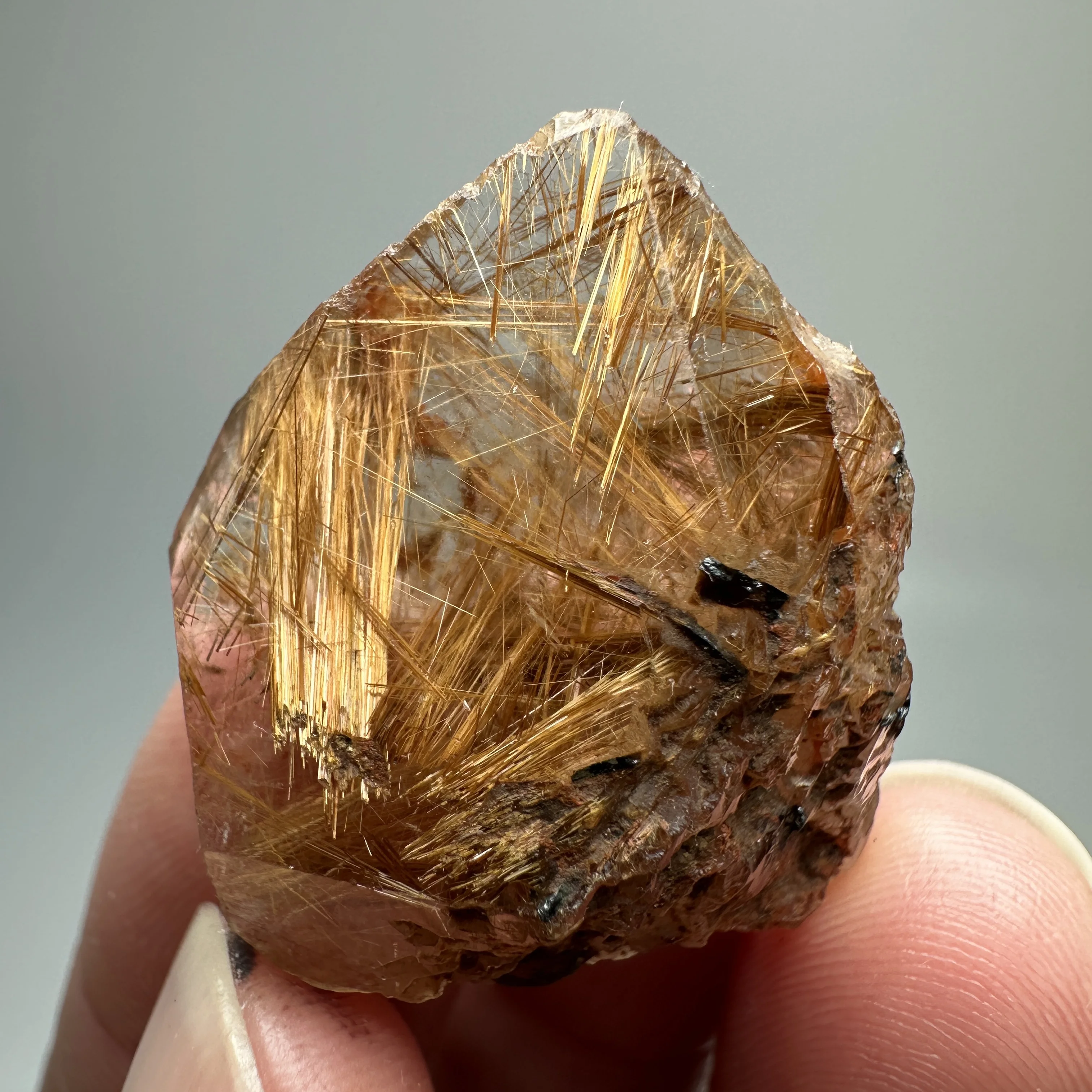 

Natural crystal Brazil Gold Rutilated Quartz Hair Crystal and specular hematite symbiosis Mineral Specimen