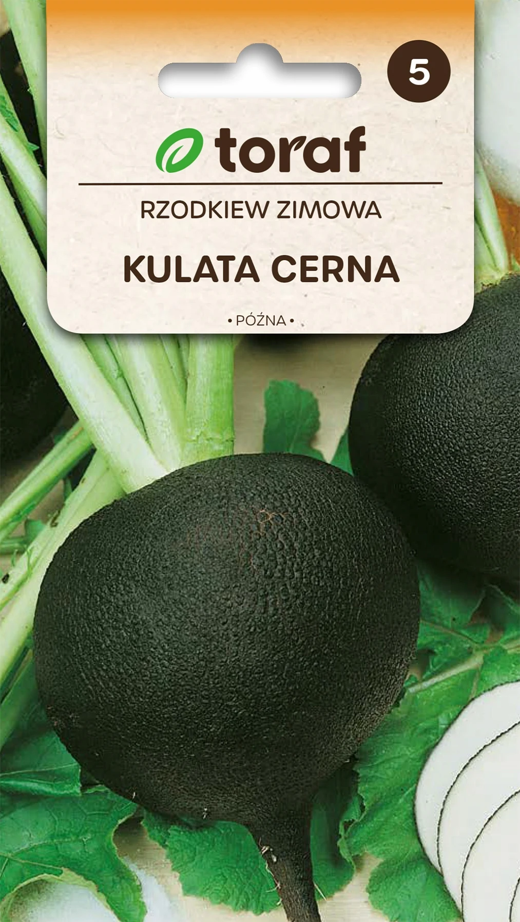 Gemüsesamen Radieschen Radish KULATA CERNA Black Globe Toraf 212