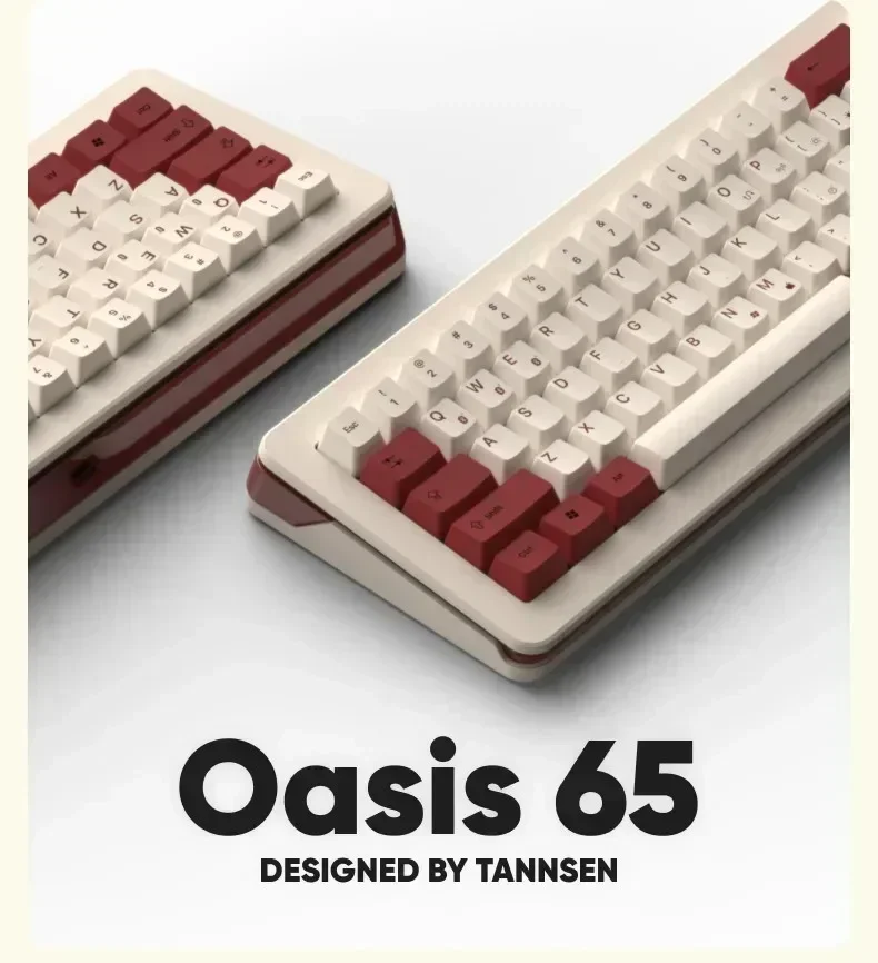 TANNSEN OASIS-Teclado Bluetooth Sem Fio, 65 Teclado Mecânico para Jogos, Modo 3, 2.4G, 67 Chaves, Junta, RGB, Hot Swap, Presentes