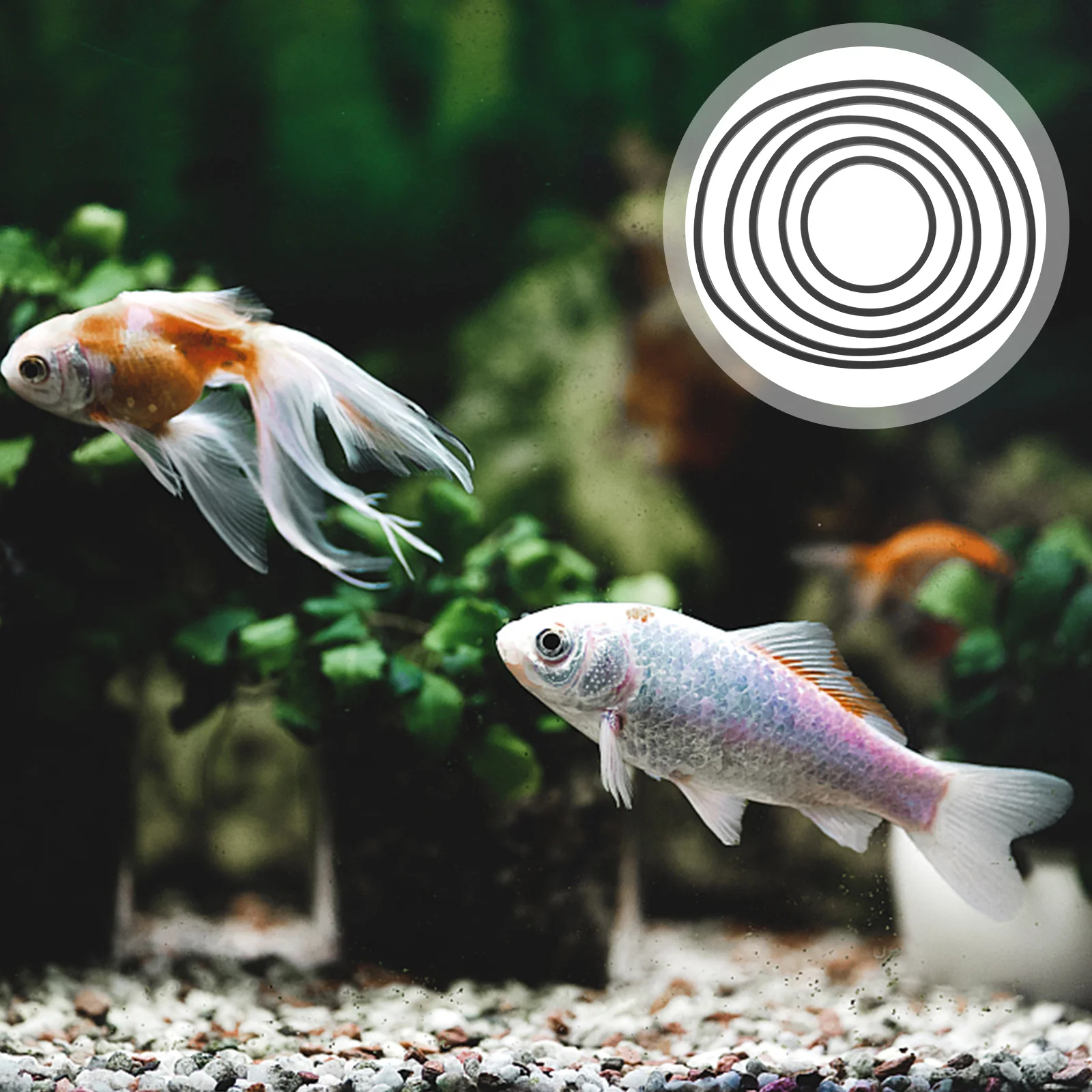 

5Pcs Aquarium Floating Plant Rings Fish Feeding Circle Reusable Duckweed Ring for Fish Tank Isolation Accessories