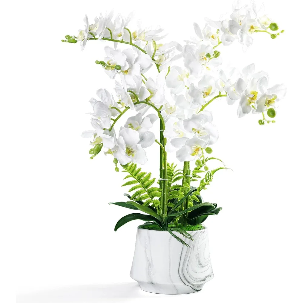 Artificial Orchid Plants and Flowers with Vase, Fake Faux Silk Orchid in Ceramic Pot, 24'', White