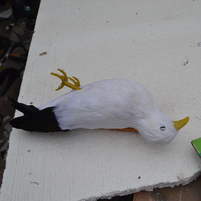 

new real life dead seagull model foam&feather creative seagull bird gift about 30cm d0147