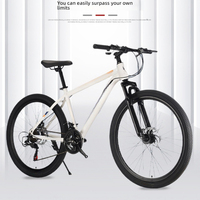 Mountain Snow Bike Lithium Battery Helps Men and Women with Variable Speed Commuting Lightweight Battery Electric Bike