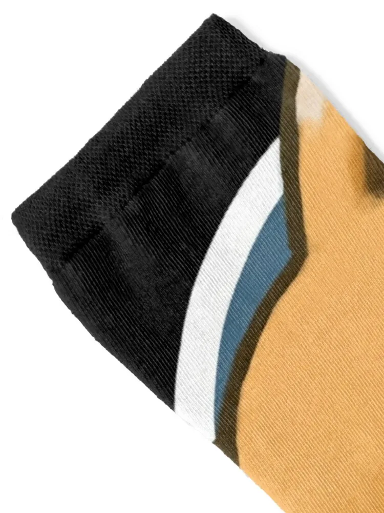 Project Zomboid Socks christmas gifts man professional running set Socks Woman Men's