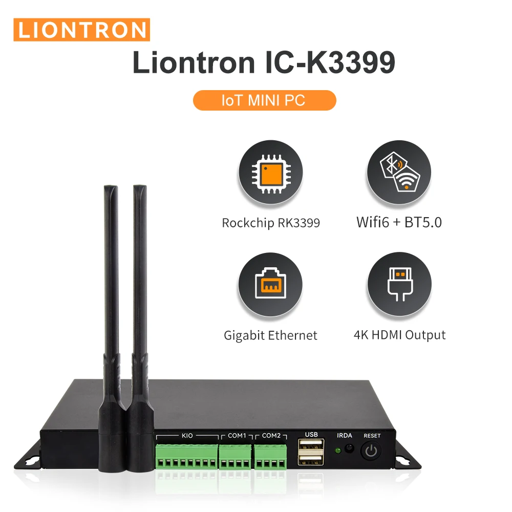 Liontron Rockchip RK3399 processor embedded development industrial Mini PC Linux Android OS With Ethernet 4K Wifi BT for AIoT
