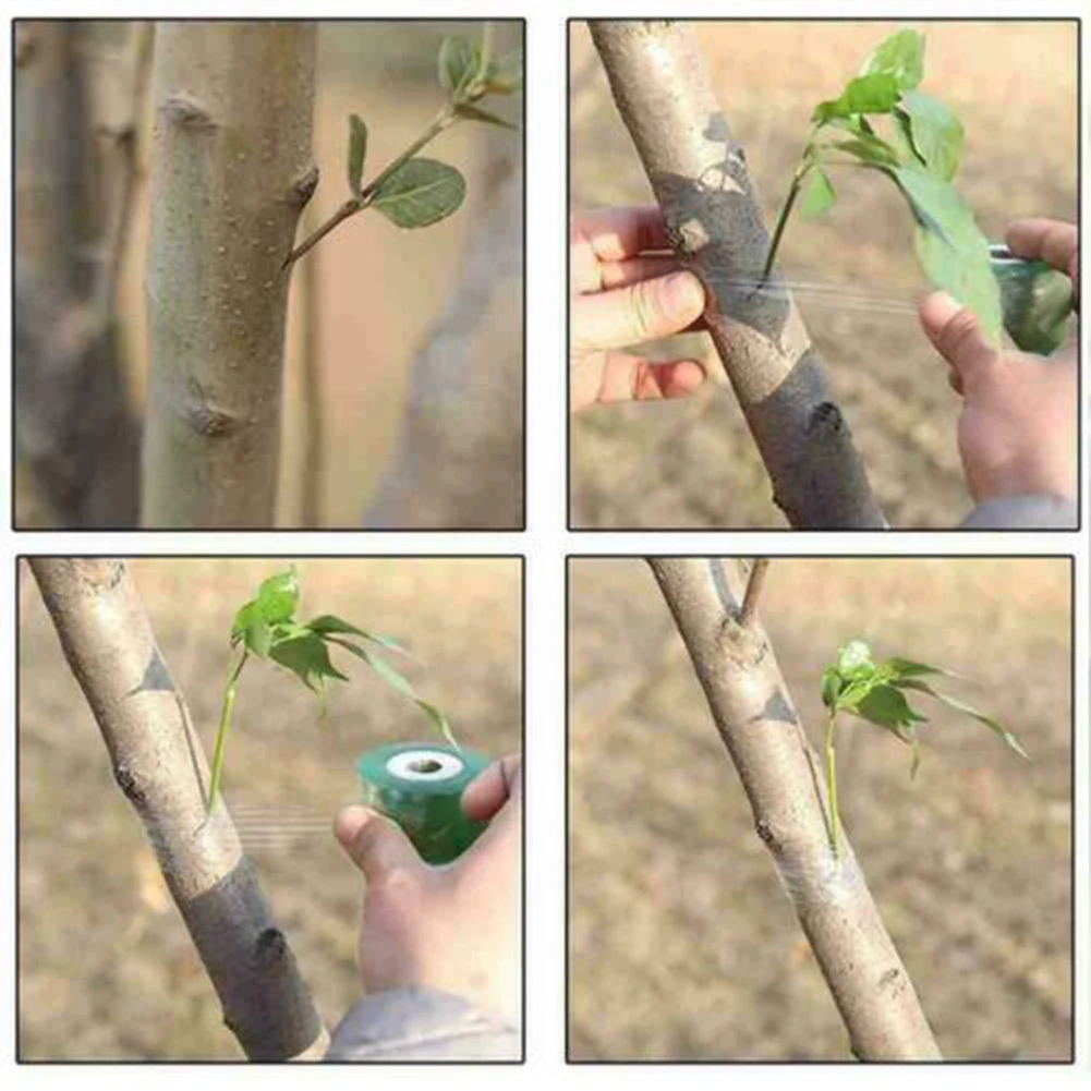 Hochwertiges Pfropf- und Pfropfband, biologisch abbaubar, umweltfreundlich, Obst, Gartenarbeit, harmloser Stretchfilm, 100 m