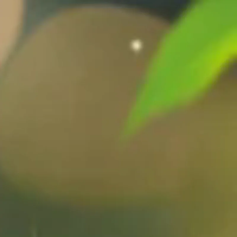 

Time Piece Calendar 2026 Desk Calendar With LED Light 3D Tear-away Calendar Paper Carving Art Memo Pad Notepad Gift Christmas