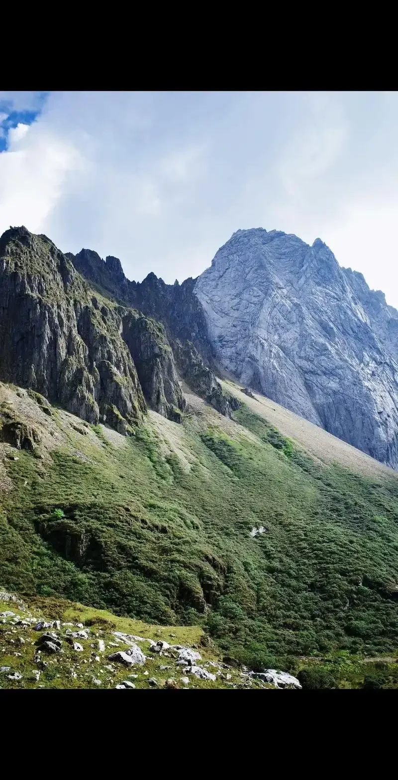 

Ice Mold Silicone Ice Cube Tray Mould Shape Ball Flexible 3D Crocodile Silicone Ice Cube Mold Tray Makes Four Cayman Barware