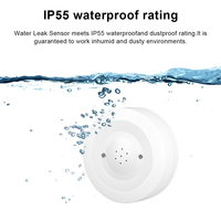 Tuya Wifi Water Leak Sensor Flood Leakage Detector With Sound Alarm 80Db IP55 Waterproof Water Sensor Remote Monitor-N33R