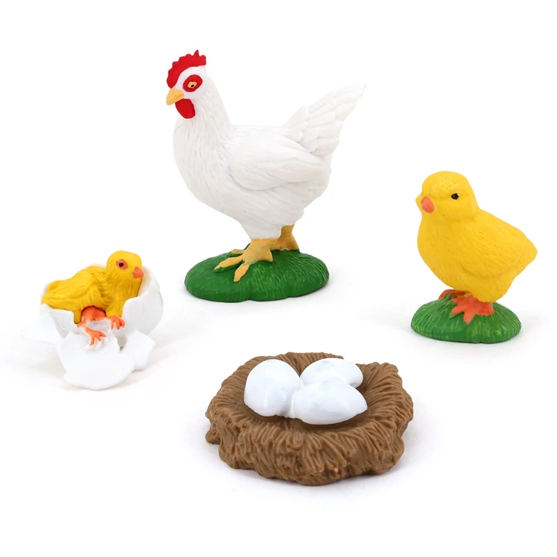 Figurines de poussin réalistes, modèle de subvention de la vie animale, jouets pour enfants, croissance de la vie animale, 4 pièces