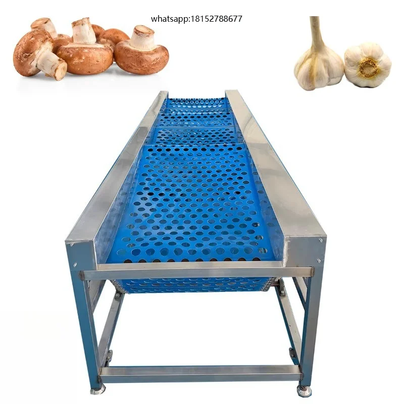 High Efficiency 220V Vegetable Grading Sorting Equipment for Pumpkin, Zucchini, Melon | High Throughput, Adjustable Speed