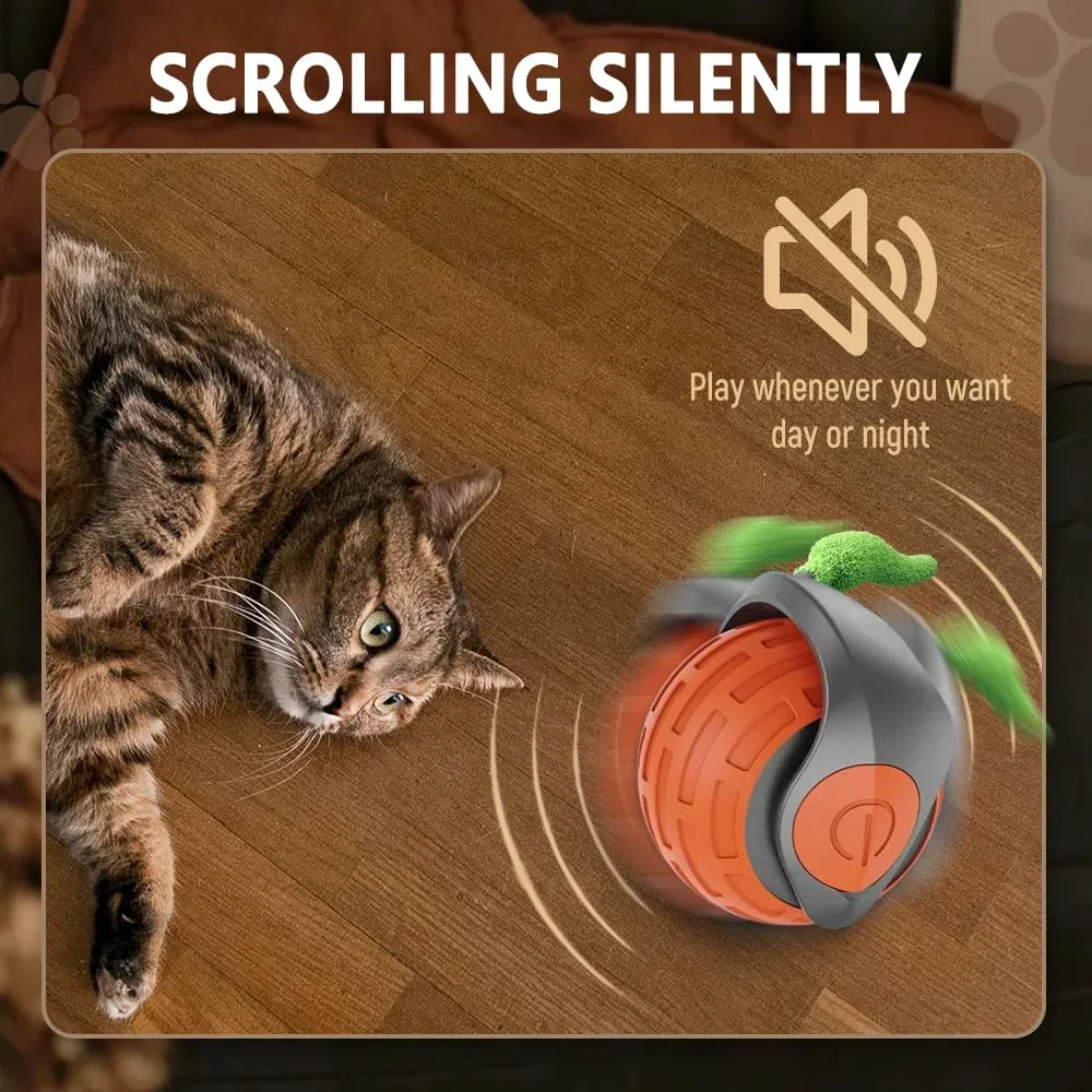 Speedy Tail Interactive Cat Toy Balls, Touch Motion Activated Rolling Ball, Type C Cord Tail for Indoor and Outdoor Cats