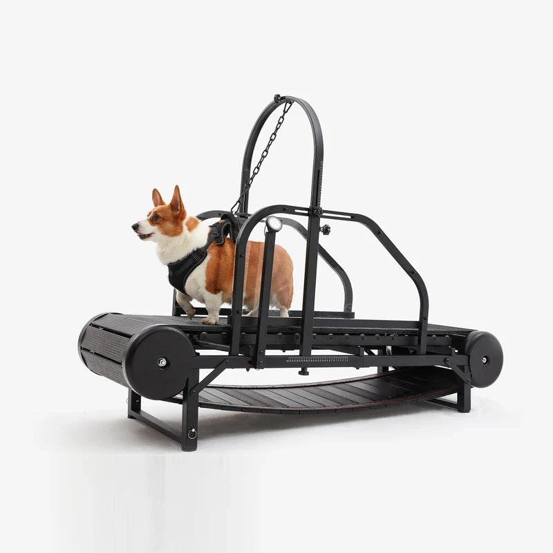 Dog Treadmill Large Dogs Indoor Outdoor Canine Running Pet Fitness Doggy Exercise Equipment Walking hine