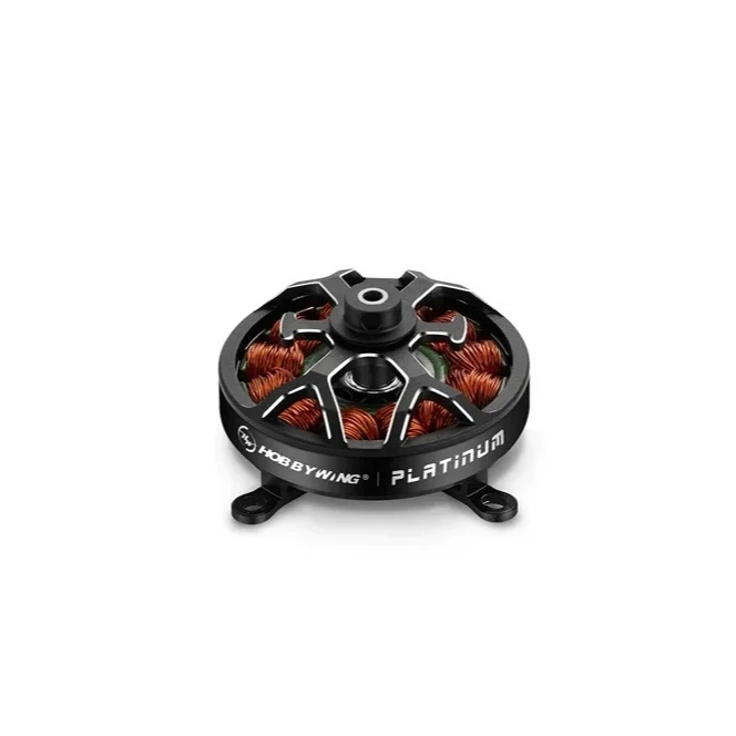Platinum 2603/2604 Hobbywing​ 80g-300g Class Micro Thrust Unit For F3P Indoor Competition Precision Build