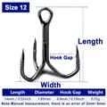 Size12