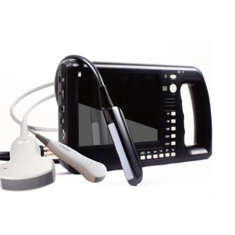 

Animal Large Screen High Definition Pig Handheld Veterinary Portable B Ultrasound Scanner Pregnancy Diagnostic Instrument