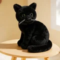 black cat sy
