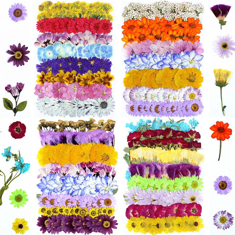 New pressed flower set: cherry - đánh giá và giá Dried Flower Bookmark