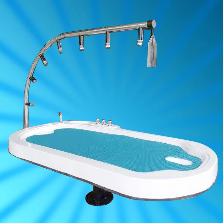 Health SPA Equipment Hydro SPA Capsule Water Table Shower Acrylic Material Standing Form High Pressure Hydrotherapy