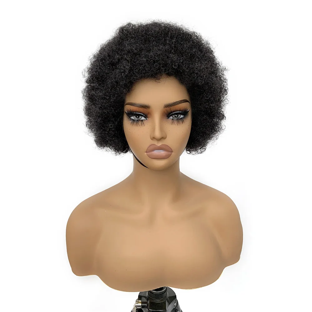 Afro Kinky Curly Lace Frontal Wig Human Hair Natural Color Bouncy Curl Soft Natural Hairline 13X4 Front Short Human Hair Wigs