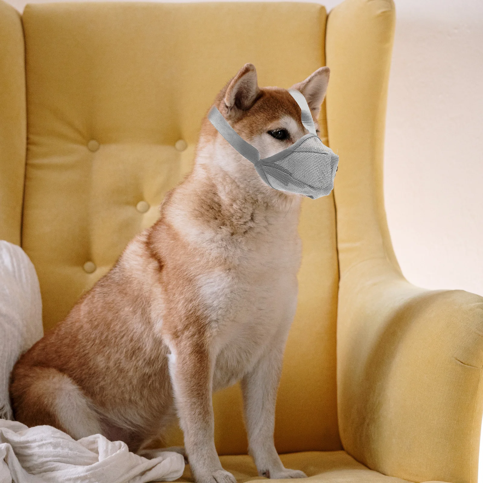 

Dog Muzzle Breathable Mesh Anti-Biting Anti-Barking Adjustable For Small Medium Dogs Reusable Pet Supply Portable Muzzle