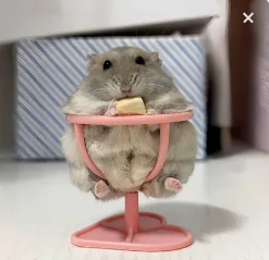 Urologische Instrumente Nephroskop-Set Z-Typ perkutane Nephroskop 30-Grad-Krankenhausausrüstung