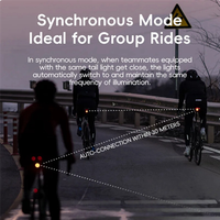 ROCKBROS Smart Automatic Brake Sensing Bicycle Tail Light Waterproof Bike Tail Light Vibration Wake BL-S2