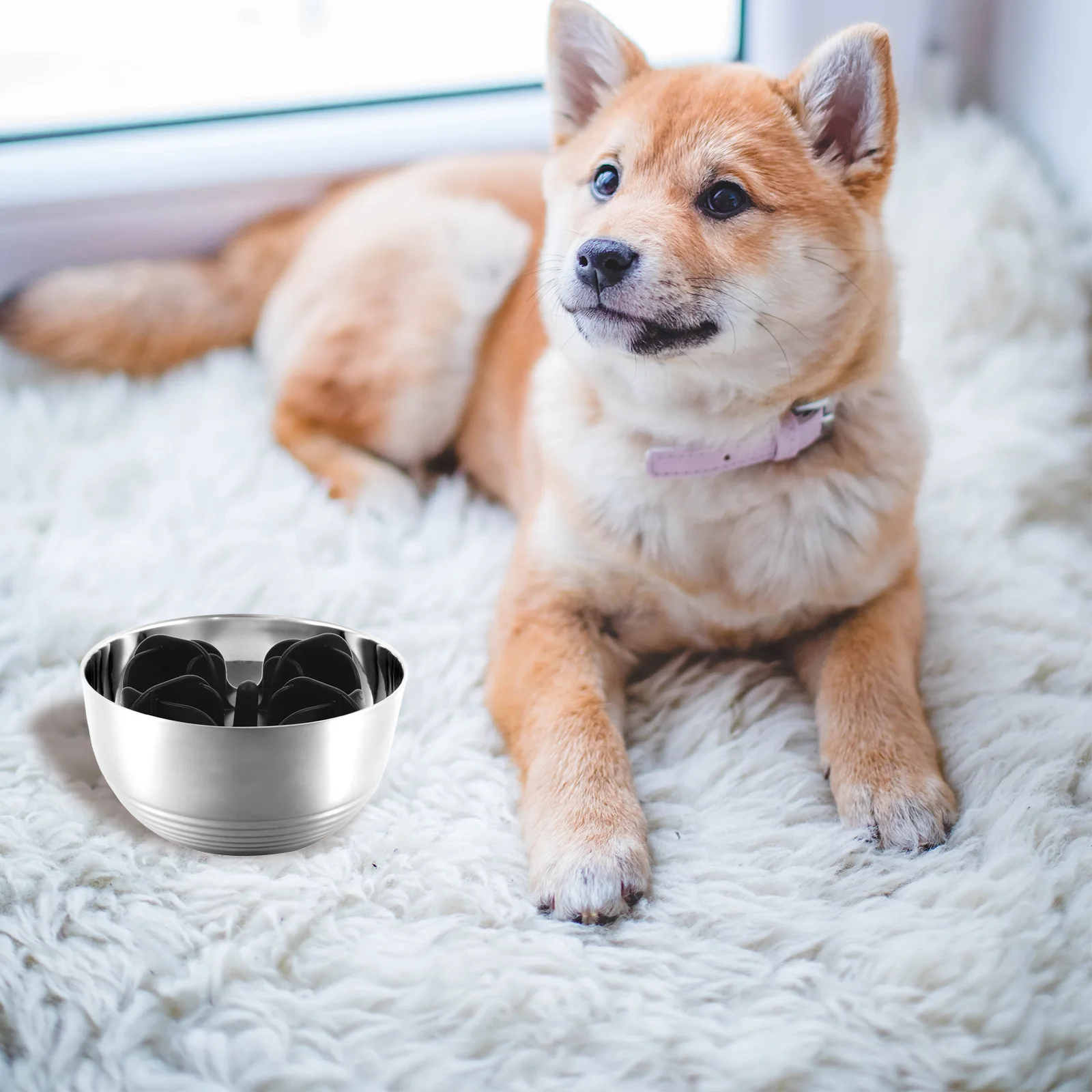 

Slow Feeder Dog Bowls Insert Medium Dogs Cartoon Silica Gel Safe Pet Supplies Non Slip Wear Resistant Puppy Food Container