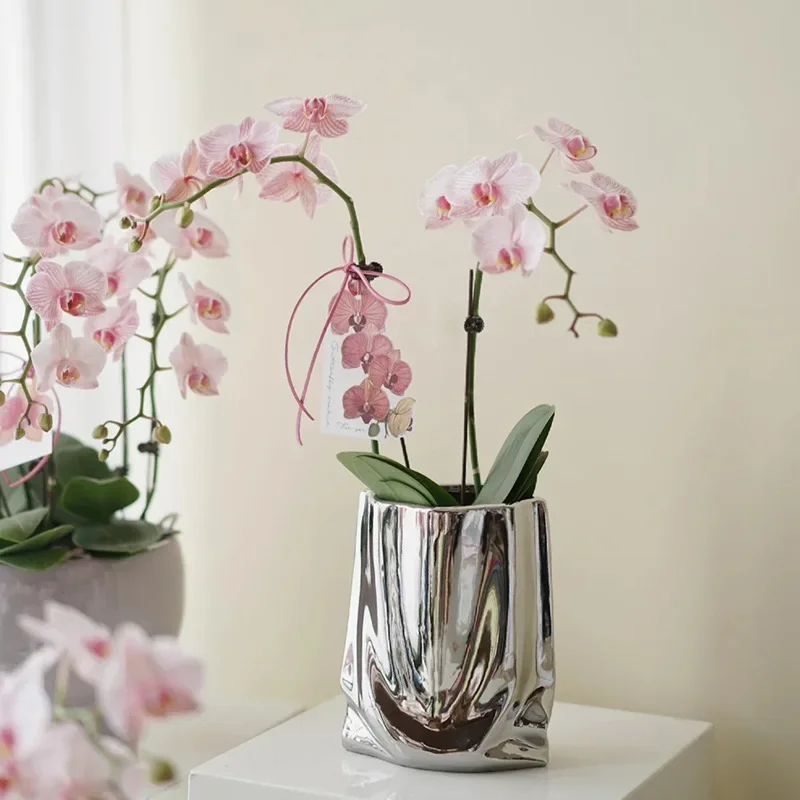 Creative Flower Pots Large Silver Ceramic Flower Cachepot Vase Planters Garden Succulent Plants Potted Modern Home Decoration