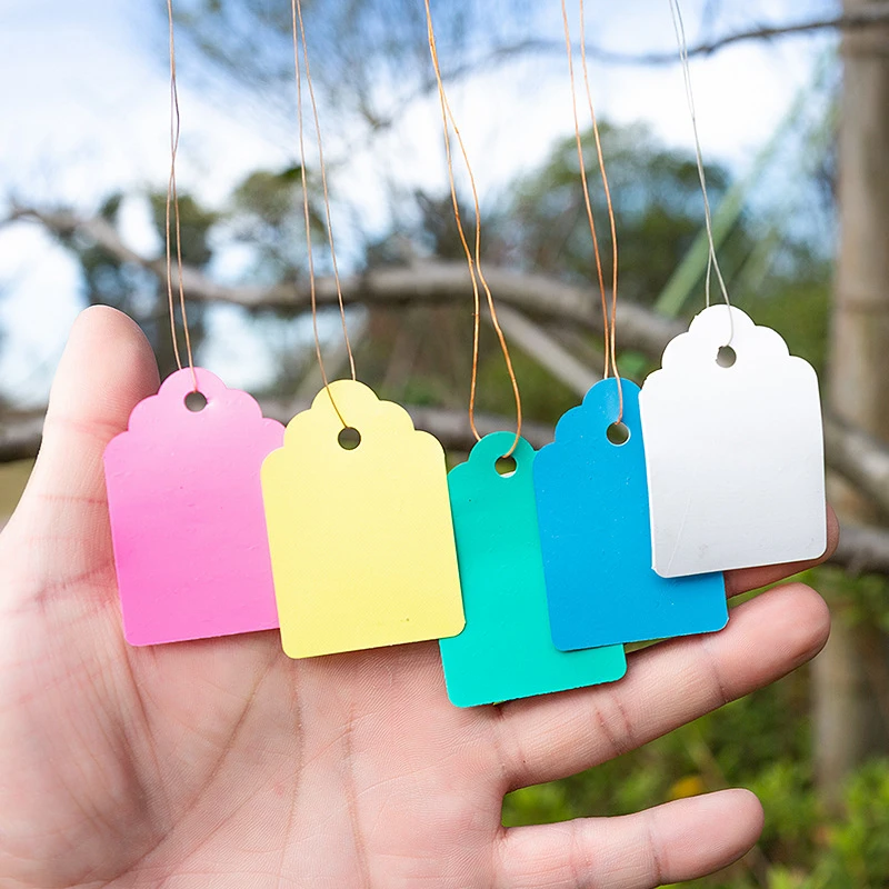 100Pcs PVC Plant Labels With Rope Plants Hanging Tag Hanging Tags Flower Pot Marker Signs Garden Decoration Gardening Tool