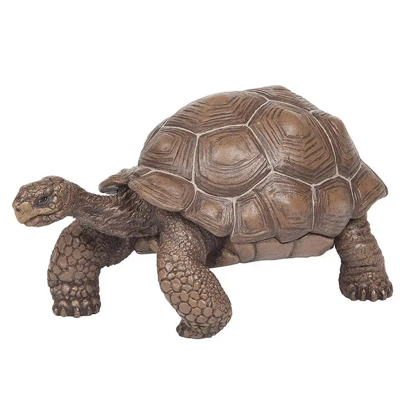 Modèle de tortue angitortue Nimal pour enfants, tortue Galapagos, figurine animale, jouet de collection, cadeau de Noël, pouces