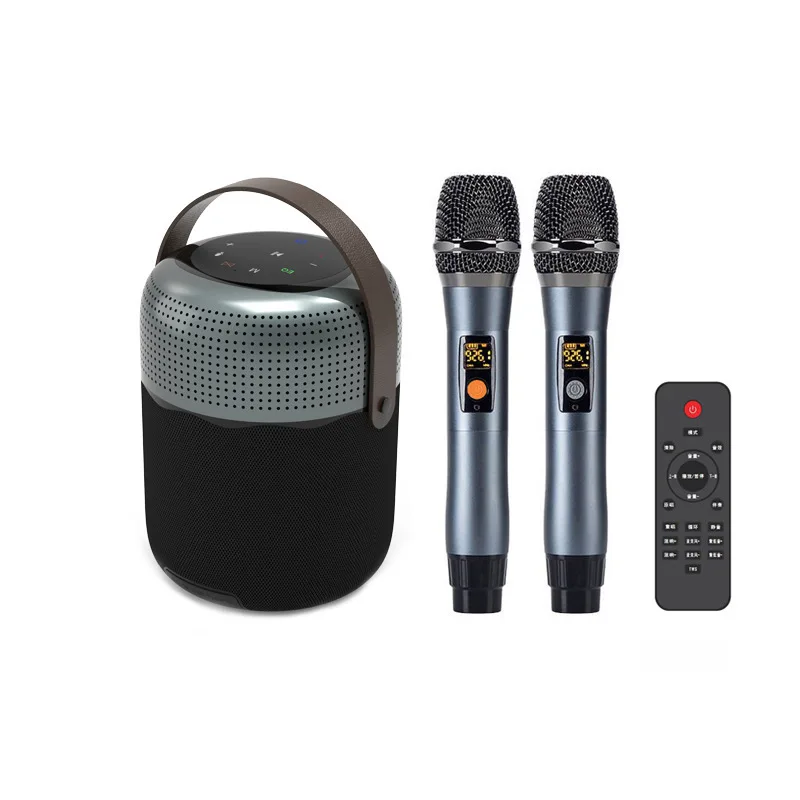 T100plus 小型スピーカーフルレンジ 100 ワットビッグパワー公共アンプパッシブラジエーター Dsp ホーンスピーカー