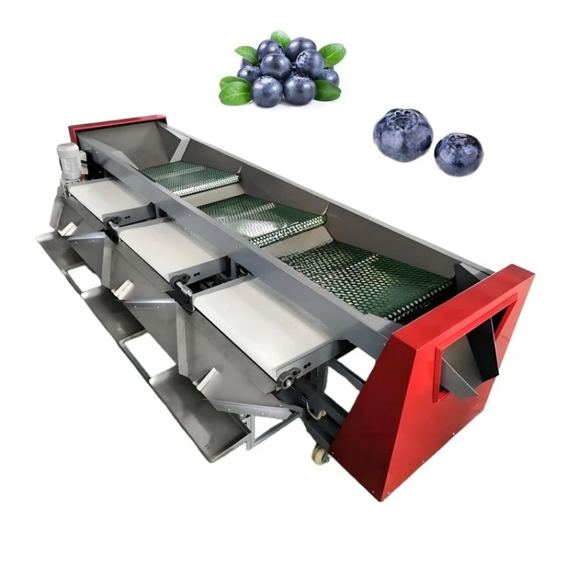 Electric Fruit Grader Sorter Machine Blueberry Sorting Machine for Wholesale Fruit Distribution Center & Cold Storage
