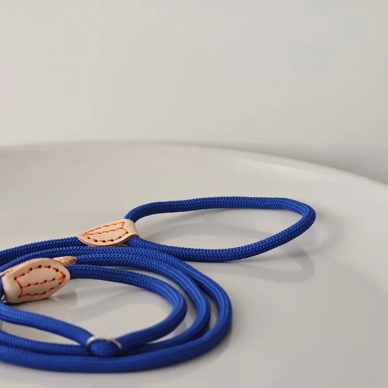 PP-Material, Haustier-Trainingsleine, verstellbar, kein Ziehen, Hundeseil mit Metallhaken, reflektierendes, sicheres P-Halsband für kleine und mittelgroße Hunde ​