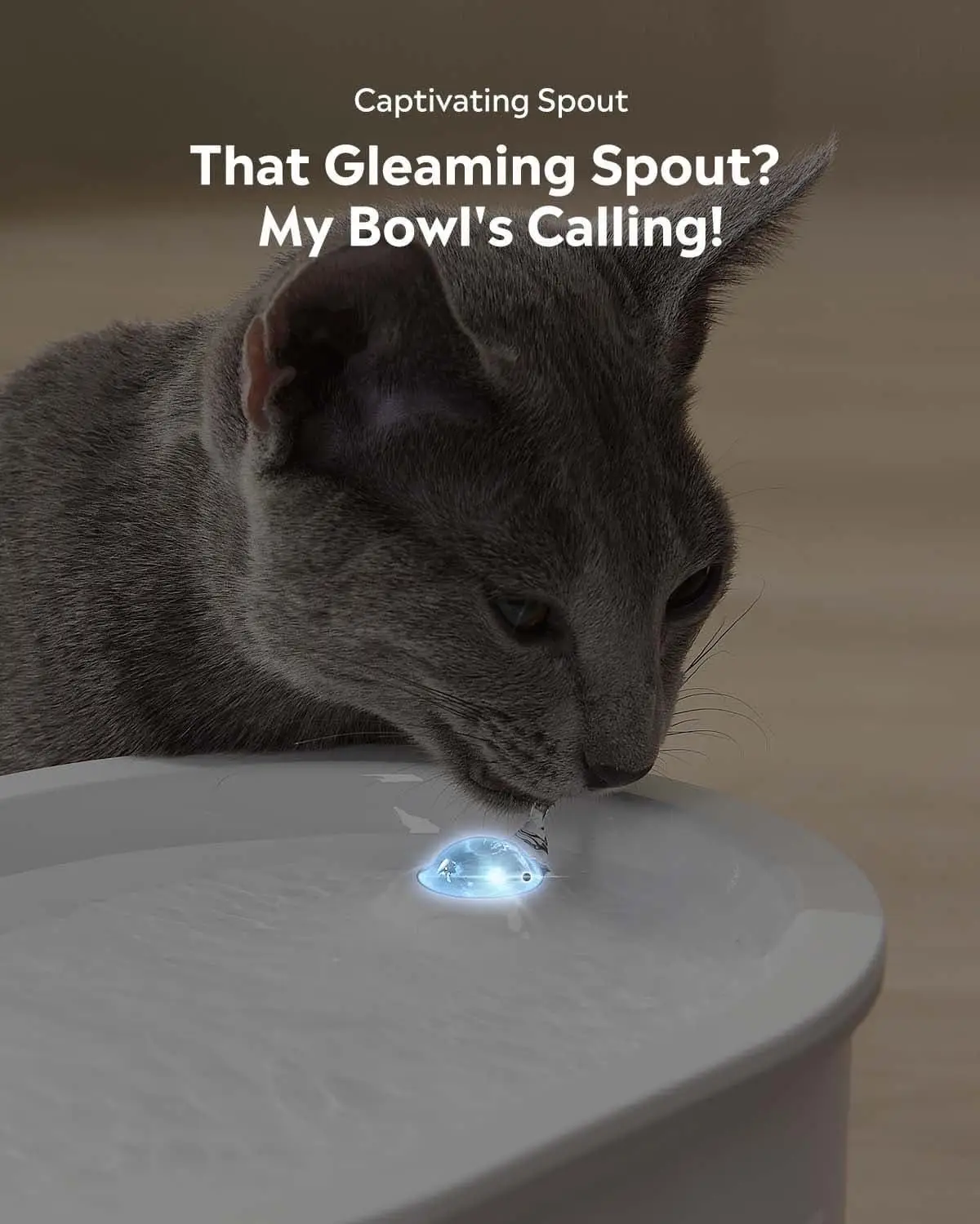 Pet Luminous Wireless Cat Fountain With Light Emitting Diode -08